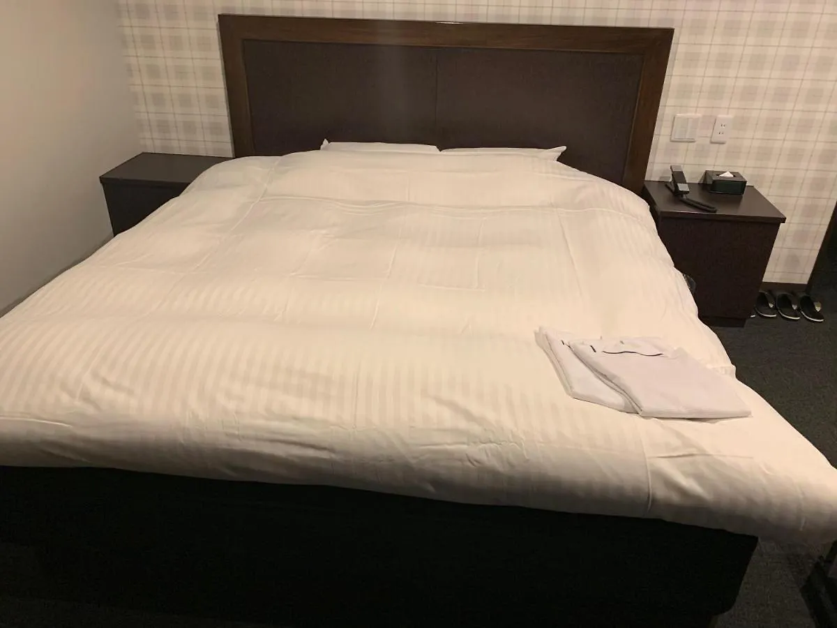 Nagoyaeki Access Hotel Japan